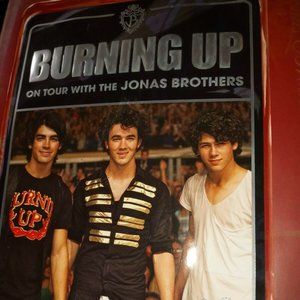 Burning Up on Tour with The Jonas Brothers Book